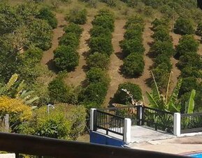 Ecohotel Palmas de Quimbaya Eje Cafetero