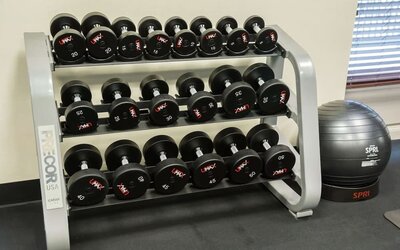 Dumbbell rack with free weights and exercise ball in the fitness center at Hampton Inn & Suites Orlando at SeaWorld.