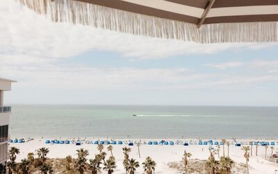 Elevated beach view with rows of blue umbrellas, palm-lined shoreline, and calm ocean stretching to the horizon.