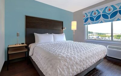 King guest room with natural light, comfortable bedding, and scenic window views at Tru By Hilton Lithia Springs.