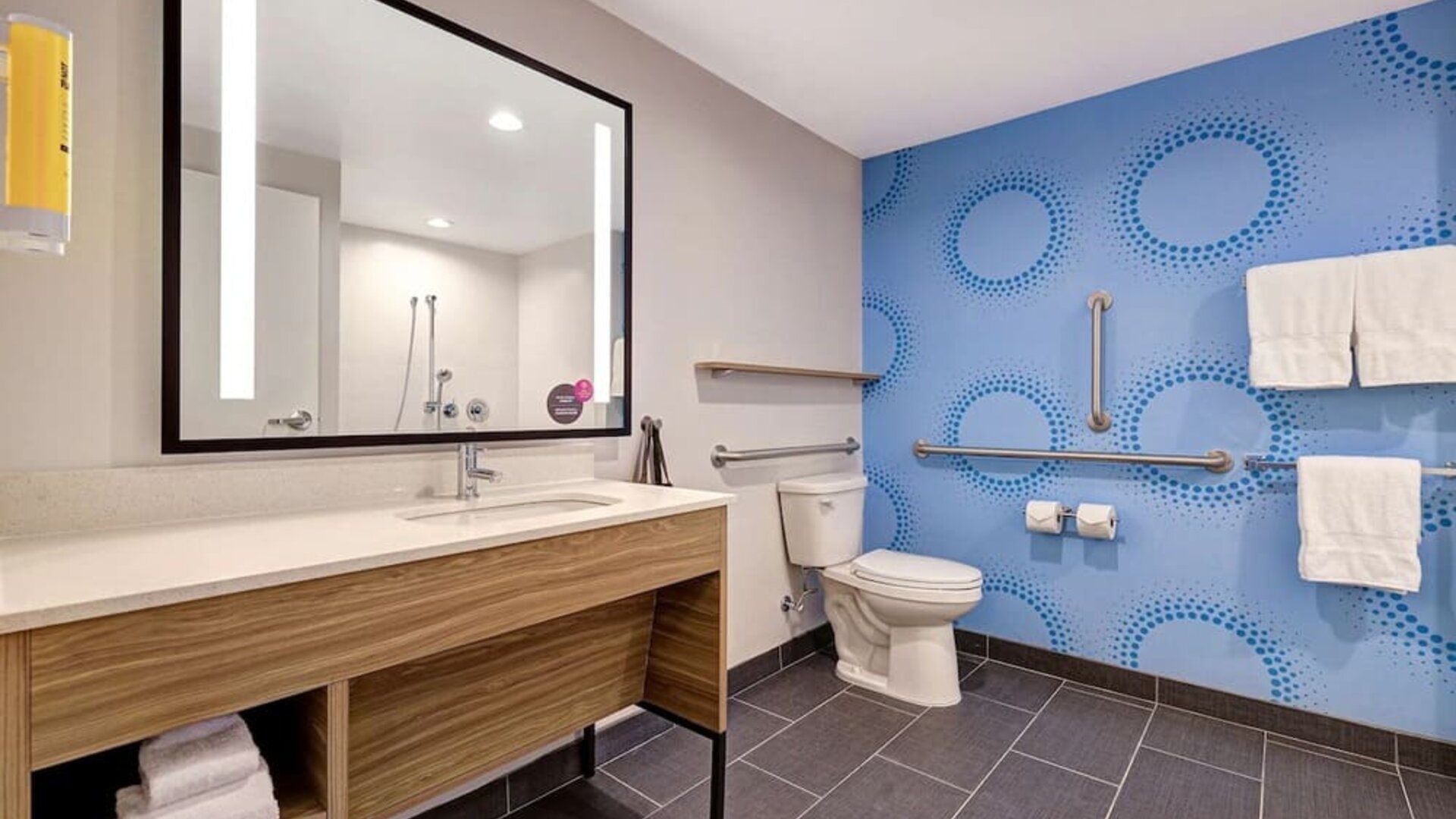 : Accessible bathroom with roll-in shower, vanity, grab bars, and modern amenities at Tru By Hilton Lithia Springs.