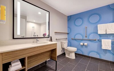 : Accessible bathroom with roll-in shower, vanity, grab bars, and modern amenities at Tru By Hilton Lithia Springs.