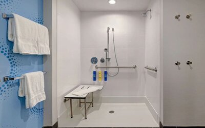 Accessible roll-in shower with grab bars, shower seat, and modern fixtures at Tru By Hilton Lithia Springs.