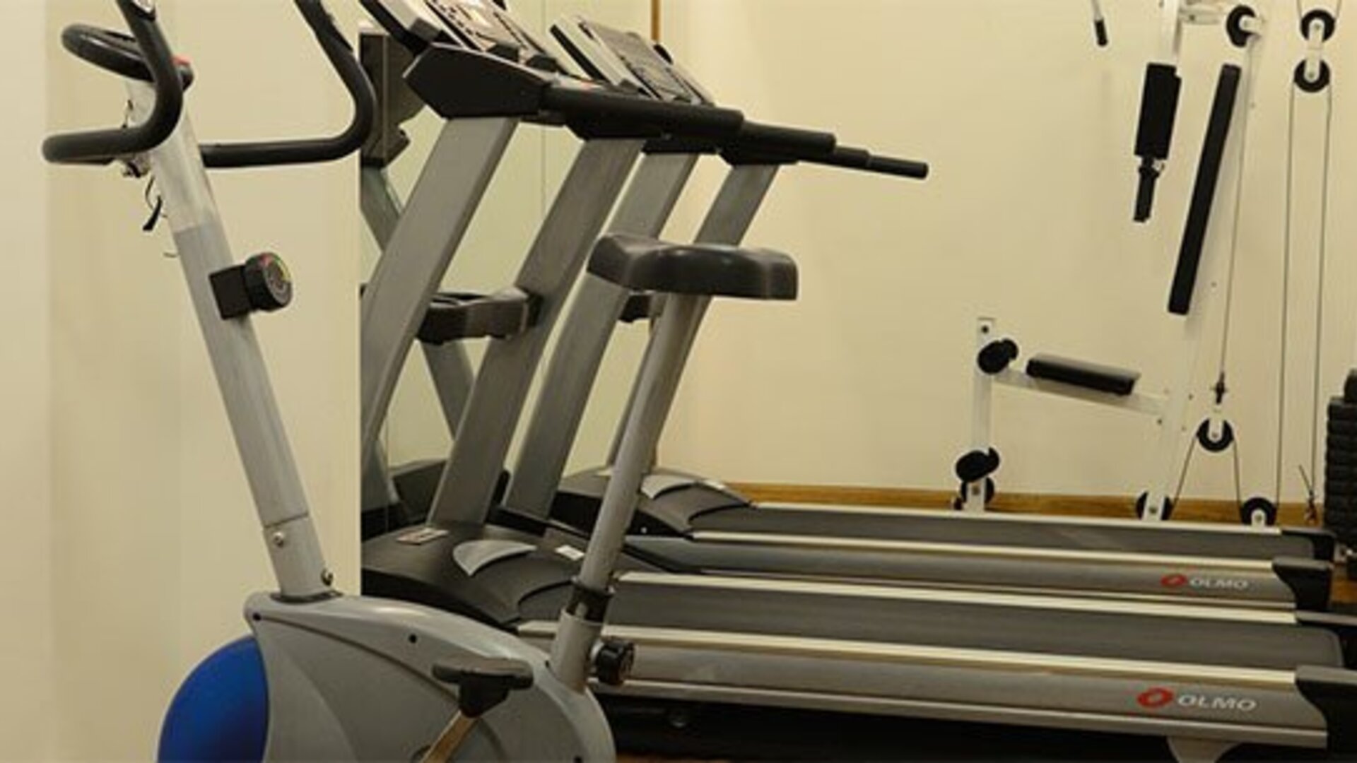 Fitness center equipped with treadmills, cardio machines, and strength-training equipment for guests maintaining their workout routines at Hotel Lafayette.