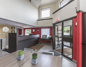 Bright and welcoming hotel lobby with reception desk and comfortable seating at Comfort Inn Sydney.