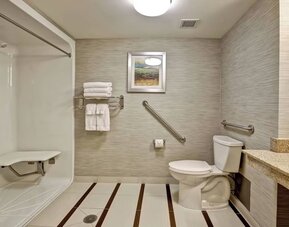 Accessible bathroom featuring a roll-in shower, grab bars, and modern vanity at Fairfield Inn & Suites Guelph.