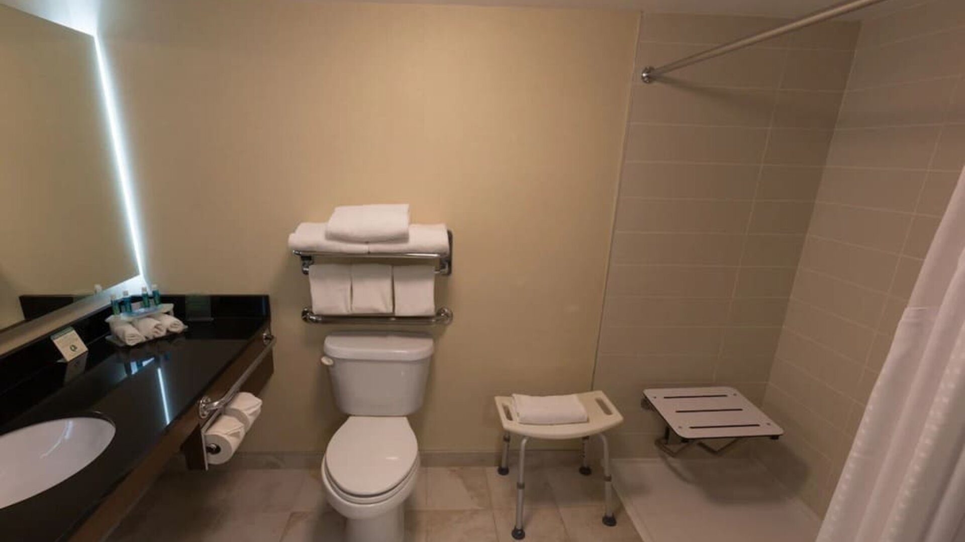 Accessible guest bathroom with roll-in shower, shower seat, and safety features at Holiday Inn Express Edmonton Downtown, an IHG Hotel.
