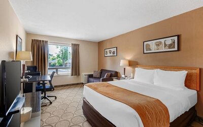 Spacious room with a king bed, sofa, and work desk at Comfort Inn Brantford.
