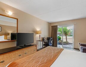 Guest room with a king bed and direct outdoor access at Comfort Inn Brantford.