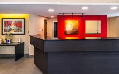Hotel reception desk with modern décor at Comfort Inn Brandon.