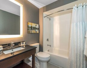 Guest bathroom with a bathtub and vanity at Comfort Inn Winnipeg Airport.