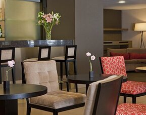Elegant lobby bar and lounge with comfortable seating, cocktail service and contemporary décor at NH Buenos Aires 9 De Julio.