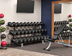 Modern fitness center featuring free weights, adjustable bench, medicine balls and strength training equipment at Hampton Inn Chicago O'Hare.