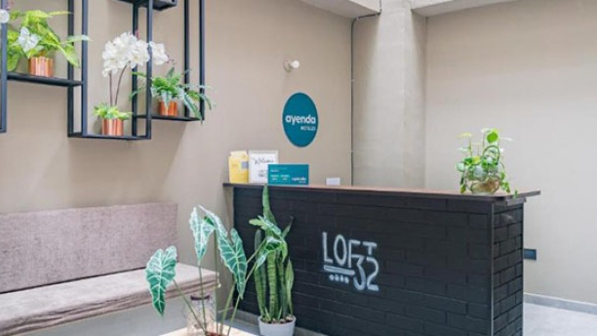 Reception area at Hotel Loft 32 featuring a contemporary front desk, comfortable seating and decorative indoor plants.