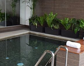 Pool at Holiday Inn Lima Airport featuring tiled surroundings, poolside towels and decorative greenery.