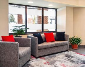 Inviting hotel lobby featuring comfortable seating, large windows and modern décor accented with vibrant cushions at Comfort Inn Truro.