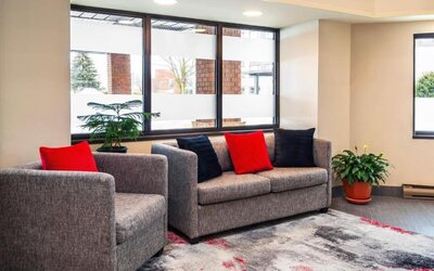 Inviting hotel lobby featuring comfortable seating, large windows and modern décor accented with vibrant cushions at Comfort Inn Truro.