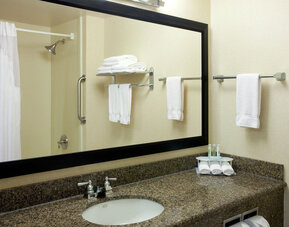 Bathroom featuring a large granite vanity, a wall-mounted mirror and a shower with grab bars at Holiday Inn Express SFO Airport North.