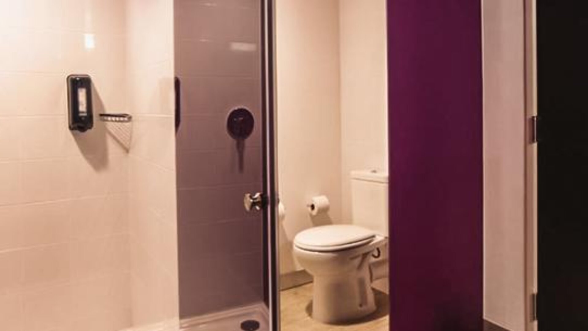 Bathroom featuring a walk-in shower, toilet, contemporary fixtures, and modern finishes at Ibis Styles Mexico Reforma.