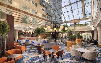 Contemporary hotel bar with upholstered lounge seating, wooden tables, globe pendant lights, plants and stocked bar.