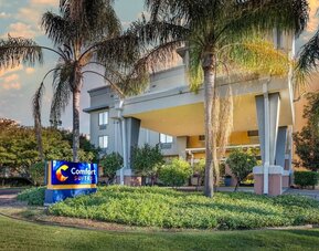 Exterior view of the hotel entrance surrounded by palm trees and landscaped grounds at Comfort Suites Vacaville-Napa Valley Area.