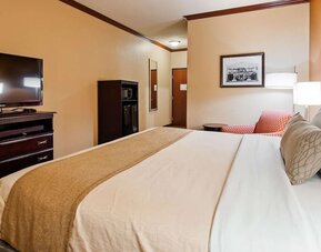 King guest room featuring a comfortable king bed, flat-screen television, microwave, mini refrigerator, and seating area at Best Western Granbury Inn & Suites.