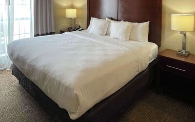 King guest room with a large bed, white bedding, bedside tables, and lamps at Comfort Suites San Antonio SeaWorld - Lackland AFB.
