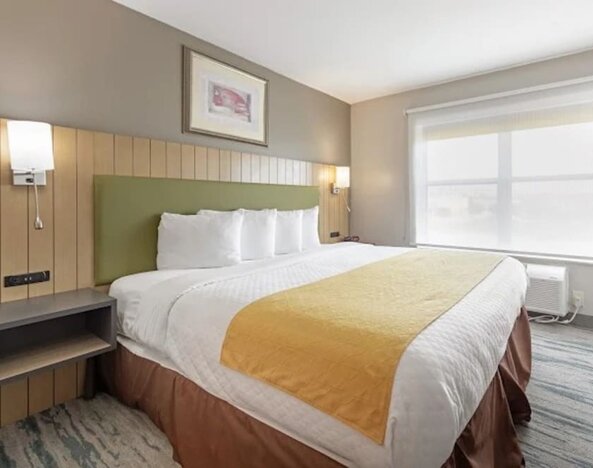 Guest room with king bed, white bedding, green upholstered headboard, bedside lighting, and large window at SureStay by Best Western Lewisville Dallas.