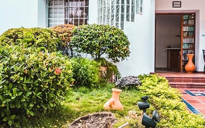 Exterior entrance and landscaped garden with tropical greenery and seating at Múcura Hotel & Spa.