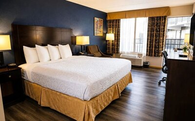 Spacious hotel room with a king bed, white bedding, dark wood headboard, blue accent wall, bedside lamps, armchair, work desk, large window, and wood flooring.