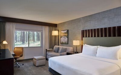 Spacious hotel guest room with a king bed, white linens, bedside lamps, gray sofa and ottoman, work desk and chair, framed landscape artwork, and a large window overlooking a pine forest.