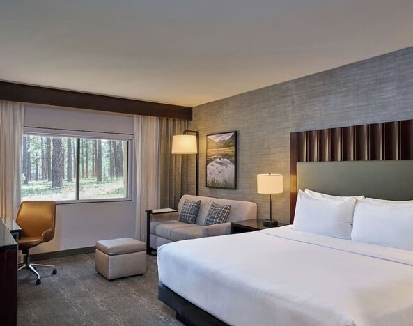 Spacious hotel guest room with a king bed, white linens, bedside lamps, gray sofa and ottoman, work desk and chair, framed landscape artwork, and a large window overlooking a pine forest.