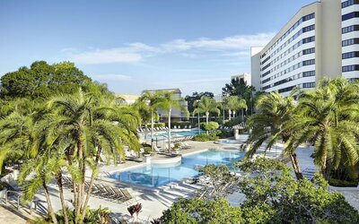 Outdoor pool, palm trees, and hotel exterior. 