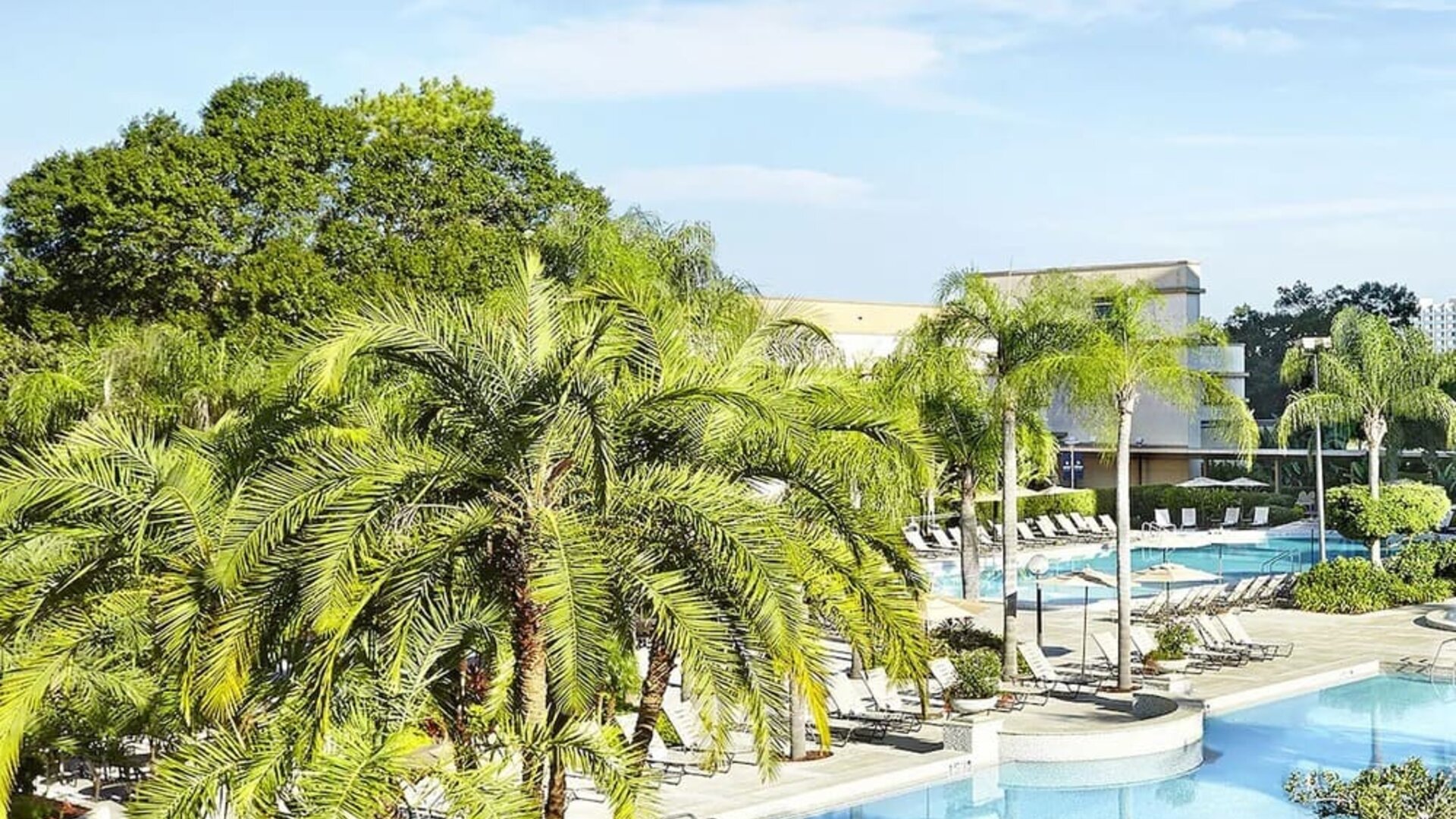 Large  outdoor pool surrounded by trees. 