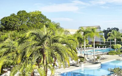 Large  outdoor pool surrounded by trees. 