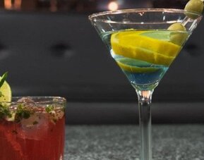 Two colourful cocktails served at the hotel bar, including a martini garnished with olives and citrus. LaiLa Hotel CDMX.
