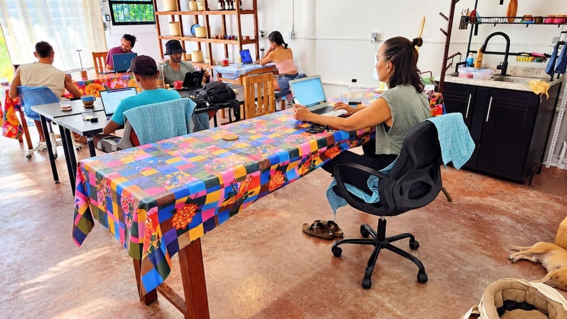 Spacious coworking area with several people working on laptops at colorful communal tables, assorted chairs, wooden display shelving, kitchenette, and a dog resting on the floor.