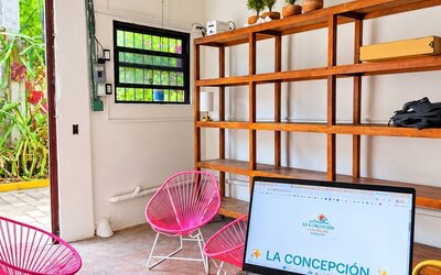 Laptop on a black table in a bright coworking space with pink woven chairs, wooden shelving, potted plants, large windows, and an open doorway to greenery.