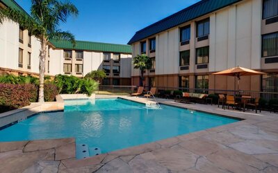 Outdoor hotel swimming pool surrounded by stone decking, lounge chairs, palm trees, landscaped greenery and guest room buildings beneath a clear blue sky.