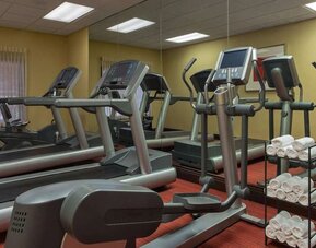 Hotel fitness center featuring treadmills, elliptical machines, cardio equipment, a mirrored wall, fresh towels, and large windows providing natural light.