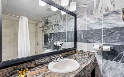 Guest bathroom with shower at Best Western Plus Newark Airport West.