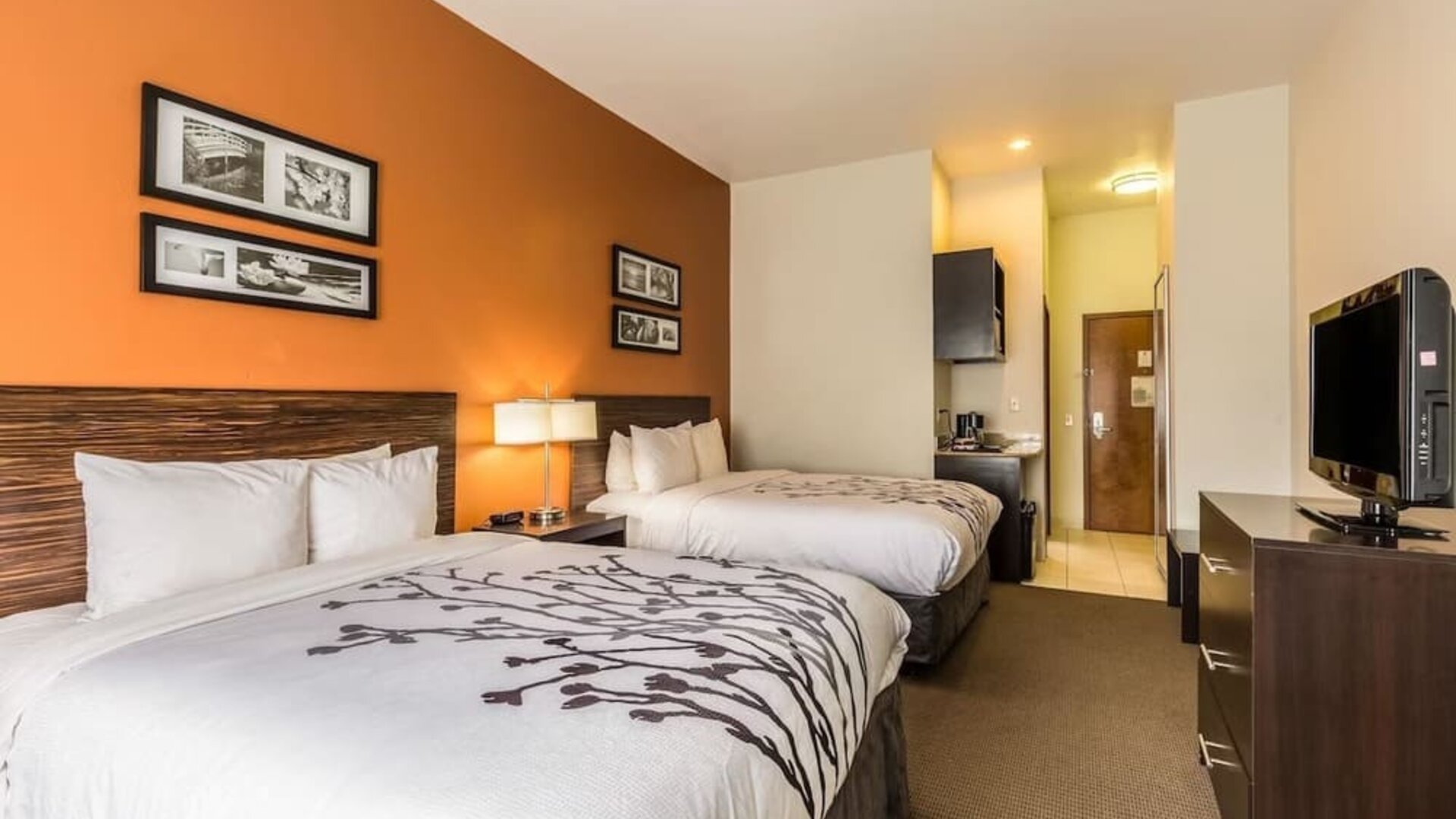 Double guest room with two beds, white bedding, orange accent wall, framed artwork, bedside lamp, television, desk, refrigerator, microwave, and coffee maker at Sleep Inn & Suites Stafford - Sugar Land.