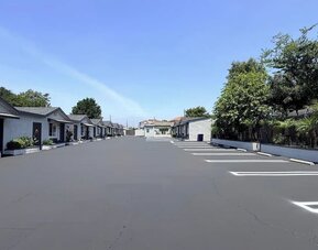 Wide daytime view of Scenic Motel’s spacious paved parking area surrounded by rows of single-story guest rooms with individual exterior entrances, white-lined parking spaces, landscaped greenery, trees, and palm plants beneath a clear blue sky.