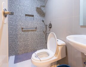 Accessible-style bathroom with a white toilet, handheld shower, wall-mounted grab bar, gray-and-white mosaic shower wall, and white pedestal sink at Hotel Sogo Guadalupe.