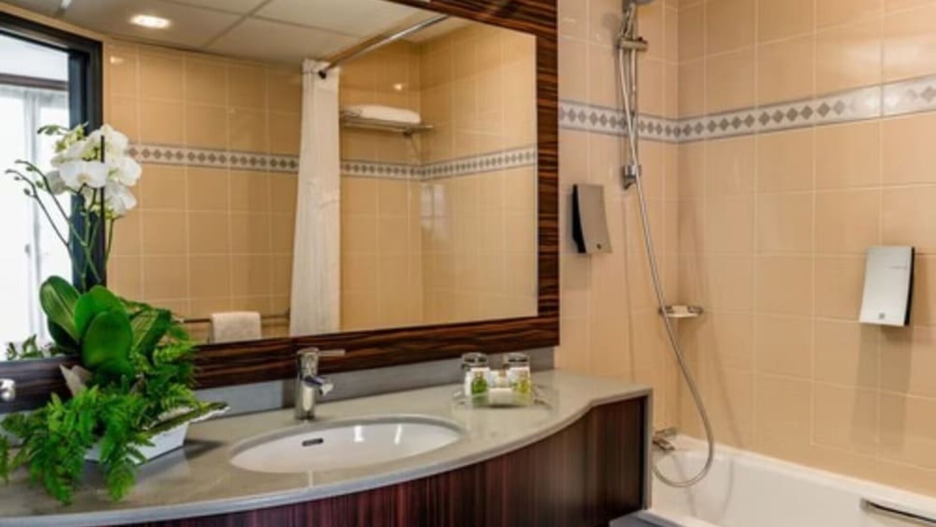 Bathroom with a bathtub and shower, large mirror, vanity sink, toiletries, and decorative plant at Holiday Inn Toulouse Airport.