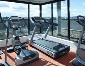 Hotel fitness room with treadmills, elliptical machines, and large windows overlooking the surrounding area at Holiday Inn Toulouse Airport.