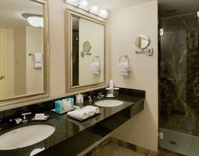 Bathroom with double vanity sinks, large mirrors, toiletries, towels, and a glass-enclosed walk-in shower at Hilton Newark Airport.