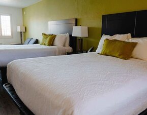Guest room with two beds, white bedding, green accent wall, bedside lamps, and a window with natural light at Western Inn.Guest room with two beds, white bedding, green accent wall, bedside lamps, and a window with natural light at Western Inn.