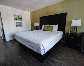 King guest room with white bedding, dark wood furnishings, green accent wall, bedside lamps, and a cushioned armchair at Western Inn.