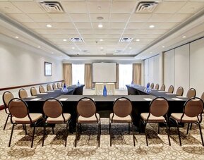 Professional meeting room at Hilton Garden Inn Toronto/Burlington.